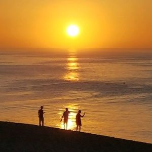 Meet your Posher, Diana